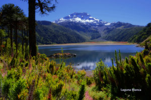 Laguna Blanca - Volcán Tolhuaca